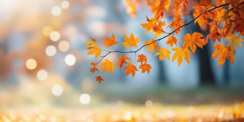 Obraz premium Golden Autumn Leaves Hanging from a Tree Branch with a Dreamy Soft Bokeh Background in a Tranquil Forest Setting