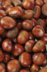 Fresh chestnuts