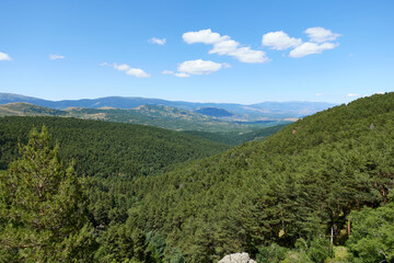 Naklejka premium Overview of a big green pine trees forest from the top of Canencia mountain in the Sierra Guadarrama, in Madrid, Spain 