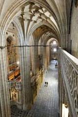 Top view of side nave, archs, ceiling and giant columns inside the Salamanca Cathedral, Castile and Leon, Spain
