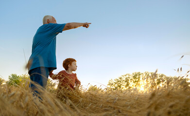 Elderly man showing direction to grandson in agricultural field