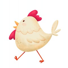 a cute fat rooster is walking illustration isolated. avian eater drawing  background. chicken hand drawing cartoon character © ninimiou