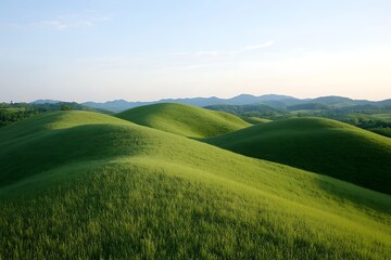Obraz premium Serene Rolling Hills Landscape