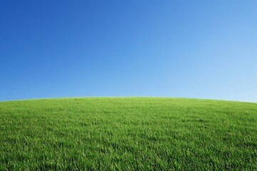 Obraz premium Vast Green Field Under a Clear Blue Sky
