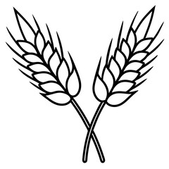 Elegant Barley Grain Vector Art