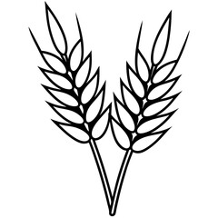 Elegant Barley Grain Vector Art