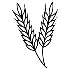 Elegant Barley Grain Vector Art