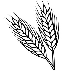 Elegant Barley Grain Vector Art