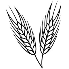 Elegant Barley Grain Vector Art