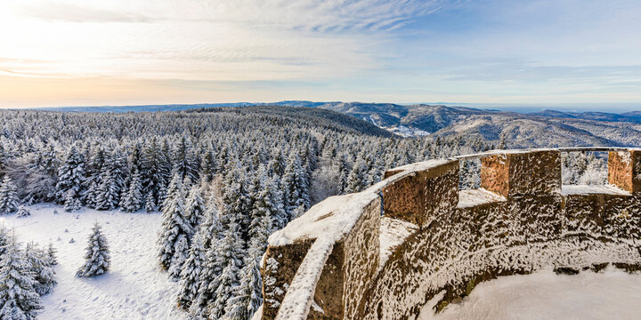 Winter view from Hohlohturm tower over snowy Black Forest in Baden-Wuerttemberg, Germany.