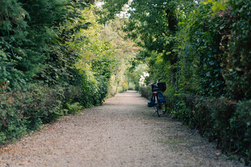 Obraz premium Bicycle parked on a pathway in nature
