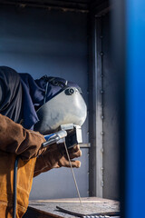 Fototapeta premium A focused welder in protective gear skillfully creates intricate metalwork, showcasing the art and precision required in welding while illuminating the workspace with sparks.