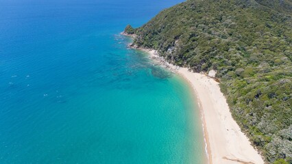 Pristine Beach in Abel Tasman National Park