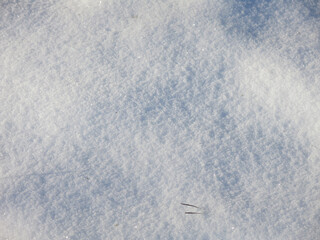 Obraz premium texture of blue smooth snow