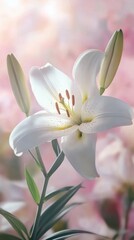 Fototapeta premium Easter lily flower in soft pastel light. Vertical background