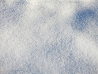 Obraz premium texture of blue smooth snow