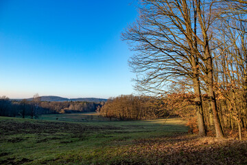 A rural landscape on an early spring evening.