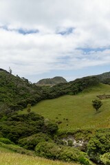 Lush green valley landscape with rolling hills.