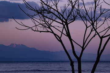 夜明けの大地に響く静寂