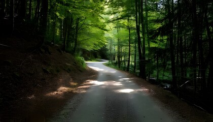 Naklejka premium Lonely road in the woods