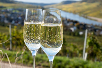 Tasting sparkling white wine, traditional champagne method making of cremant in caves on Moselle river valley in Luxembourg, glasses of wine and view on terraced vineyards