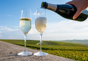 Pouring of Champagne sparkling wine on green vineyards near Ludes, Louvois, Val de Livre,...