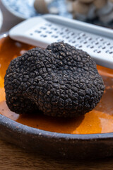 Delicious mushrooms, fresh black summer truffle mushroom and grater for making truffle dishes with tasty aroma