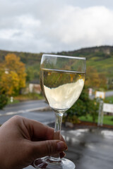 Glasses of white dry riesling wine made on Moselle river valley in Germany or Luxembourg, view on...
