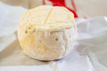 Cheese collection, soft goat French cheese with mold crottin de Chavignol produced near Sancerre on cheese farm, Loire Valley close up