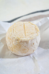 Cheese collection, soft goat French cheese with mold crottin de Chavignol produced near Sancerre on cheese farm, Loire Valley close up
