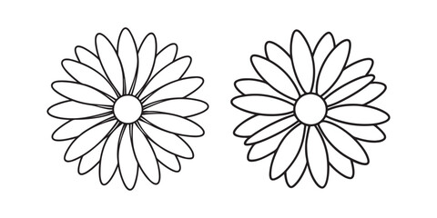 daisy flower line art, black outline, vector and illustration, line art and outline