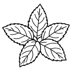 Mint Leaves Line Art Vector