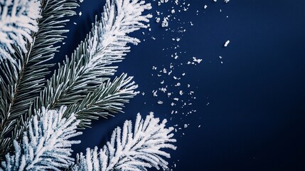 Frosted evergreen pine branches with scattered snowflakes on a dark blue background, ideal for winter or holiday themes