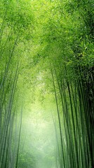 A serene view of bamboo forest Tranquil view of a lush bamboo forest Serene bamboo forest with vibrant green tones