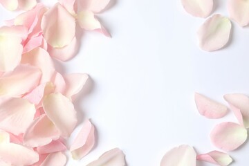 Naklejka premium Pink rose petals on a white background