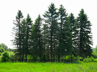 place of death of the partisan Zoya Kosmodemyanskaya in the village of Petrishchevo, the obelisk is...