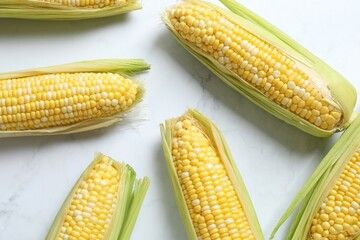 Fresh corn on cobs on lightbackground, top view