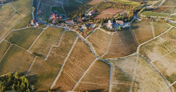 Aerial view of the hills with vineyards in autumn, Le Langhe wine region, Piedmont, Italy