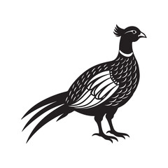 pheasant silhouette, black and white silhouette, vector and illustration