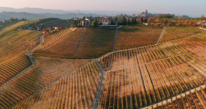 Aerial view of the hills with vineyards in autumn, Le Langhe wine region, Piedmont, Italy