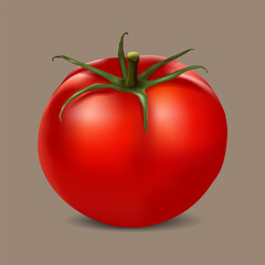 tomato realistic vector for decoration