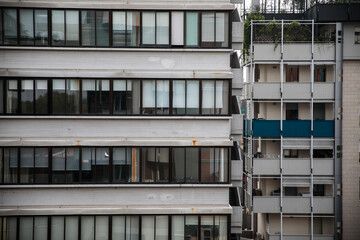 A flying bird in Modena