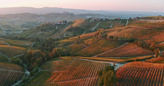 Aerial view of the hills with vineyards in autumn, Le Langhe wine region, Piedmont, Italy