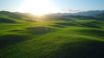 Obraz premium Aerial shot of grassland landscape sunlight casting shadows Realistic photograph