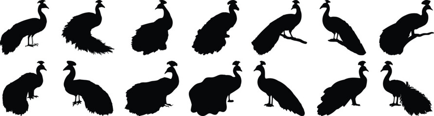 Peacock silhouette set vector design big pack of bird illustration and icon
