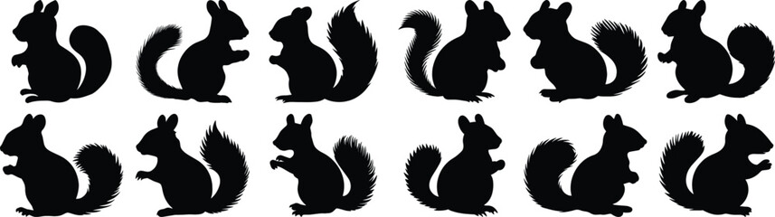 Squirrel silhouette set vector design big pack of animal illustration and icon