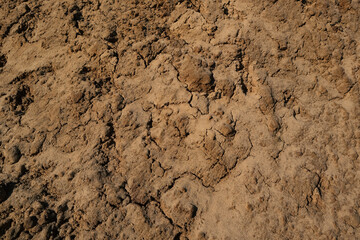 Soil texture background. Brown ground surface. Close up natural background