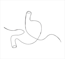One continuous line drawing of human stomach organs. single line of stomach drawing.  illustration of stomachache concept. editable outline
