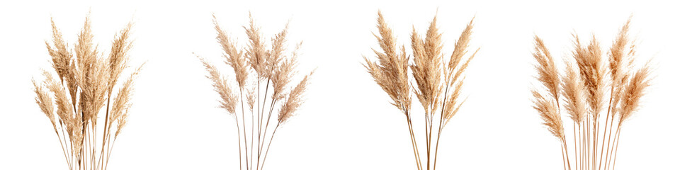 Dried Wheat Stalks and Tall Grass Bundles in Autumn Countryside Landscape