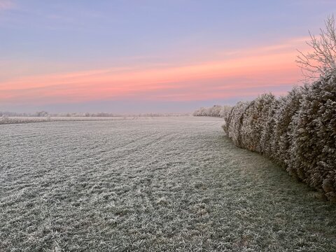 Winterlandschaft mit wunderschönen Farben am frühen Morgen, Leben auf dem Land